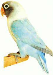 Azul diluido